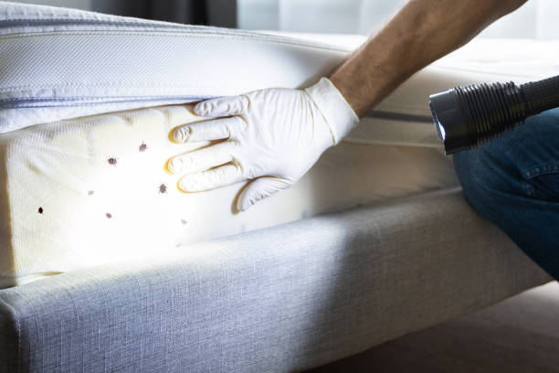 Best Pest Inspection Near Me  in Germantown, OH