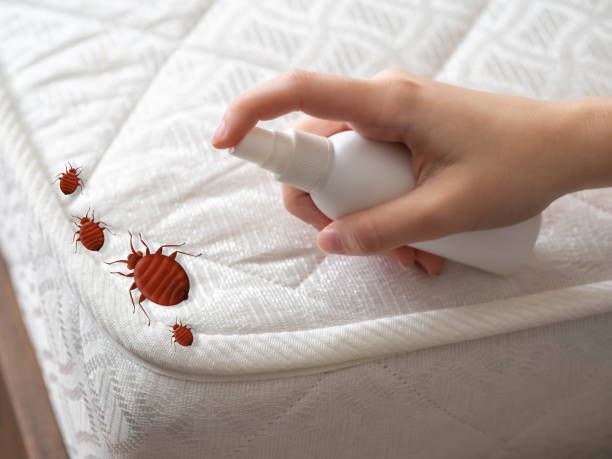 Best Bed Bug Extermination  in Germantown, OH